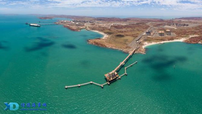 魏祥鑫：刷抖音看到自己入选60大新星，还是想去国外待一年（刷抖音刷到自己入选60大新星，魏祥鑫仍计划出国待一年）